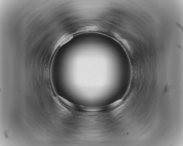 X0000096431473200801241328