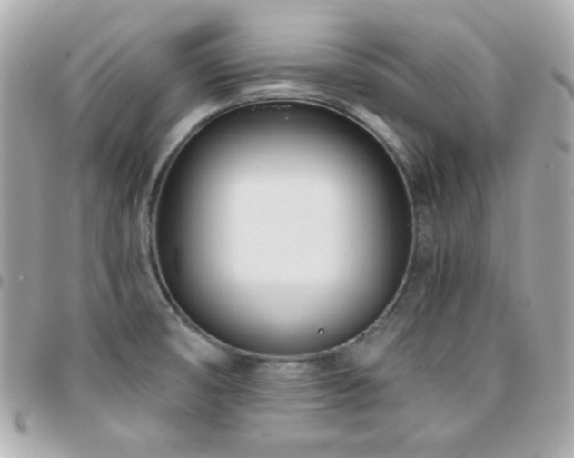 X0000096431474200801241328