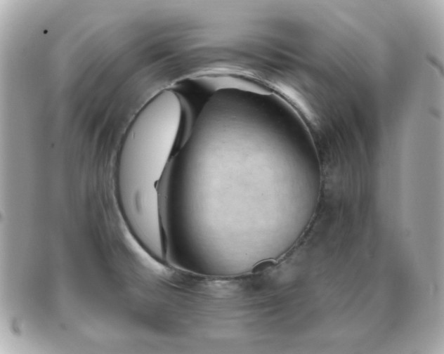 X0000096431476200801241328
