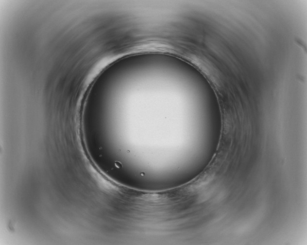 X0000096431478200801241328