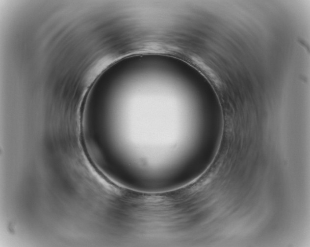 X0000096431479200801241328