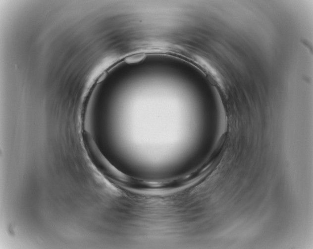 X0000096431480200801241328