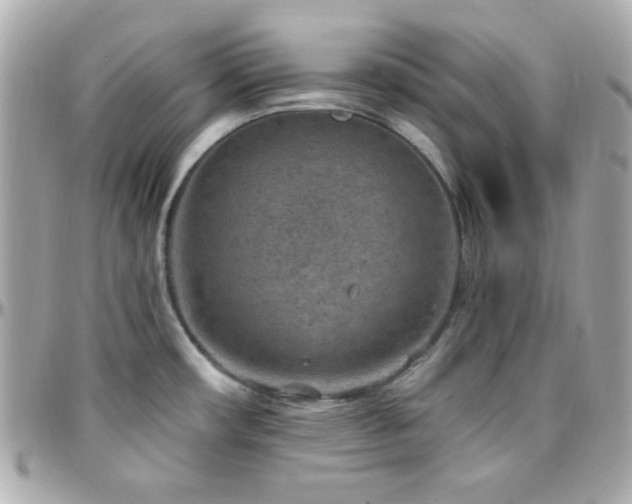 X0000096431482200801241328