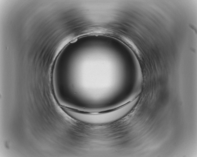 X0000096431483200801241328