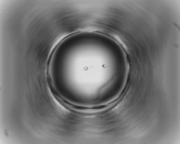 X0000096431484200801241328