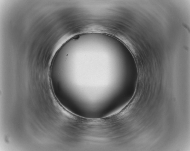 X0000096431486200801241328