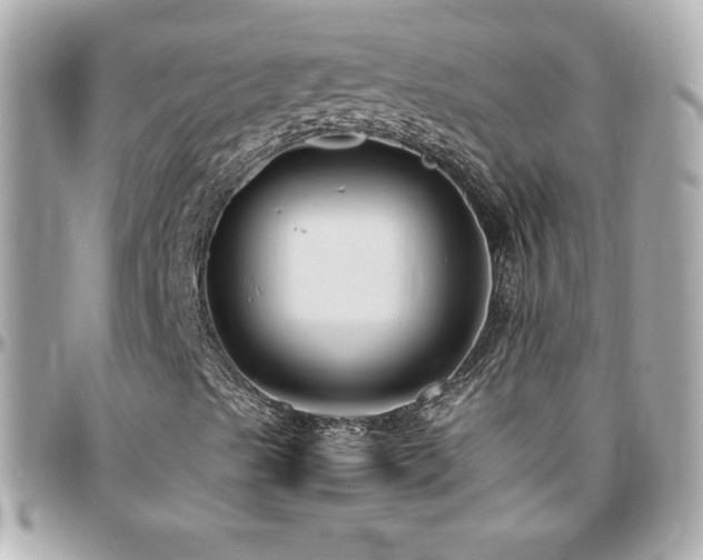 X0000096431489200801241327
