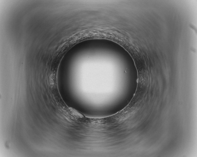 X0000096431490200801241327