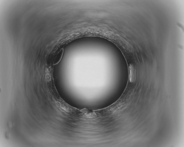 X0000096431491200801241327