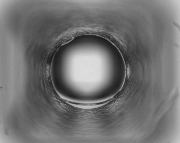 X0000096431492200801241327