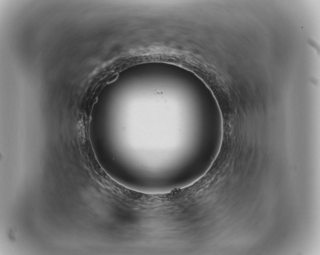 X0000096431493200801241327
