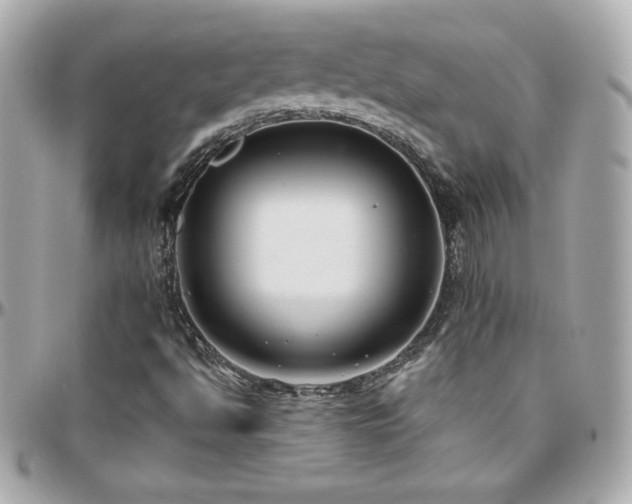 X0000096431494200801241327