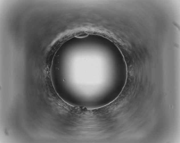 X0000096431495200801241327