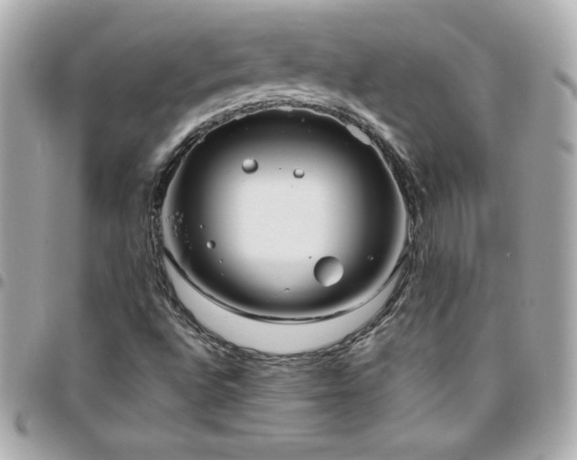 X0000096431496200801241327