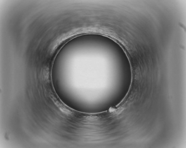 X0000096431499200801241327