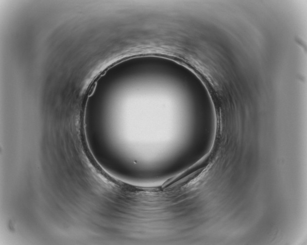 X0000096431500200801241327