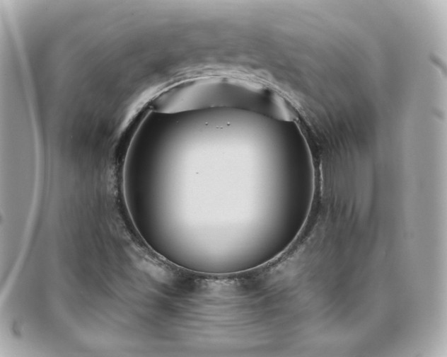 X0000096431501200801241327