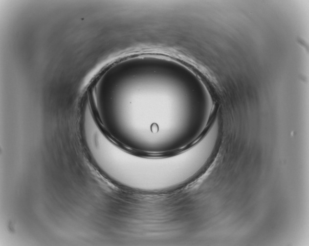 X0000096431502200801241327
