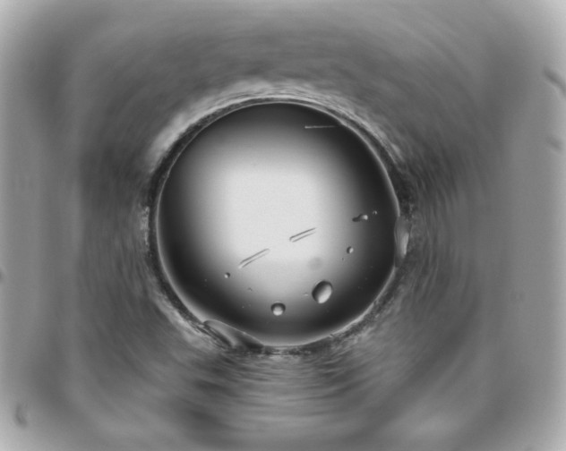 X0000096431503200801241327