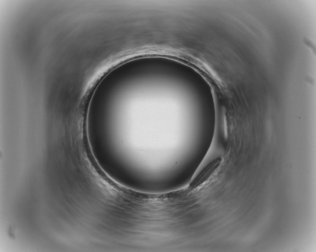 X0000096431504200801241327