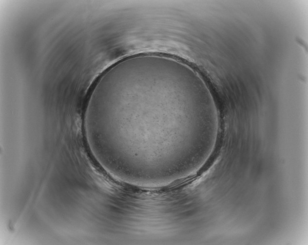 X0000096431505200801241327