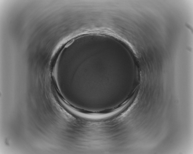 X0000096431506200801241327