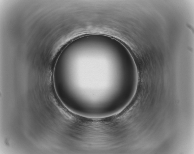 X0000096431507200801241327