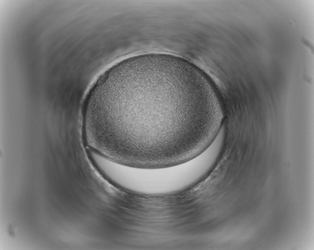 X0000096431508200801241327