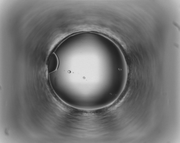 X0000096431509200801241327
