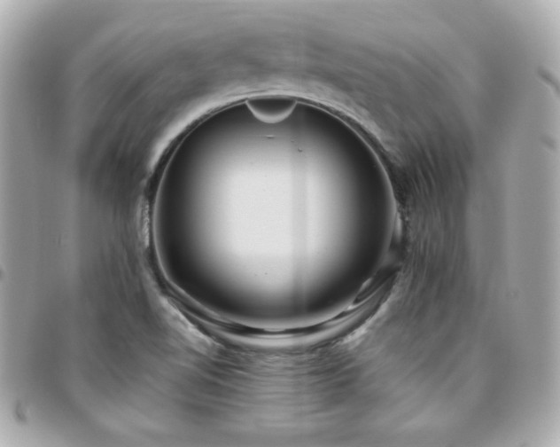 X0000096431510200801241327