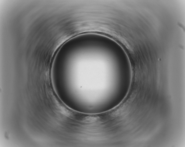 X0000096431513200801241327
