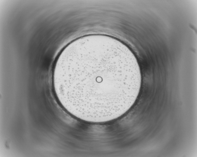 X0000096431514200801241327