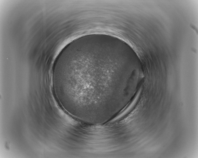 X0000096431515200801241327