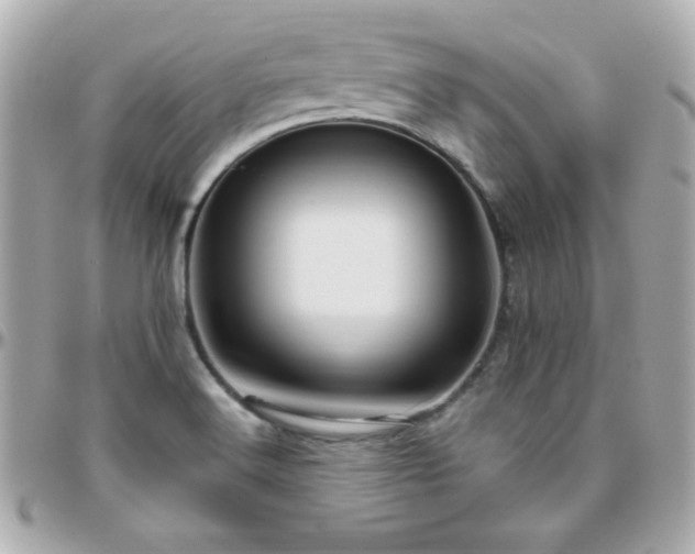 X0000096431516200801241327
