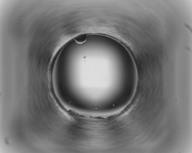 X0000096431517200801241327