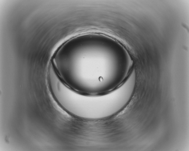 X0000096431518200801241327