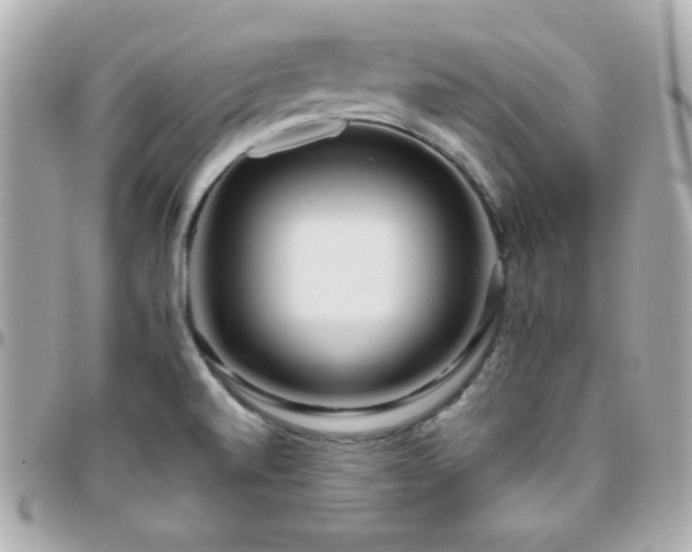 X0000096431520200801241327