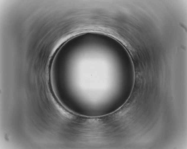 X0000096431523200801241327
