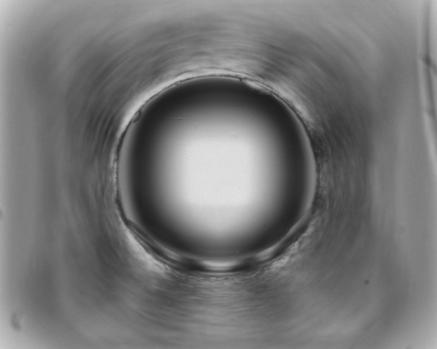 X0000096431524200801241327