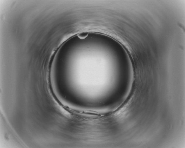 X0000096431525200801241327