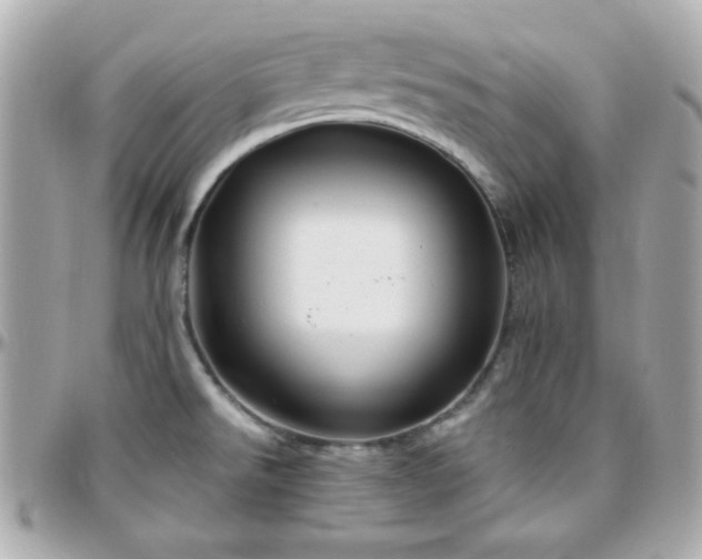 X0000096431526200801241327
