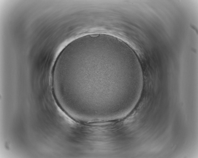 X0000096431527200801241327