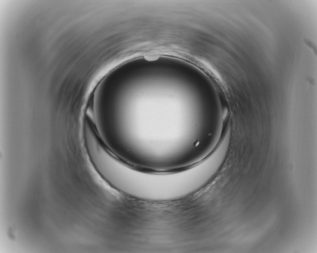 X0000096431528200801241327