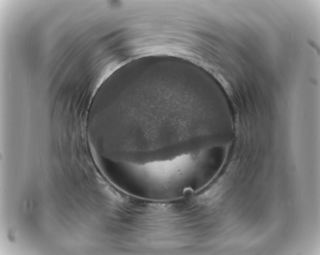 X0000096431529200801241327