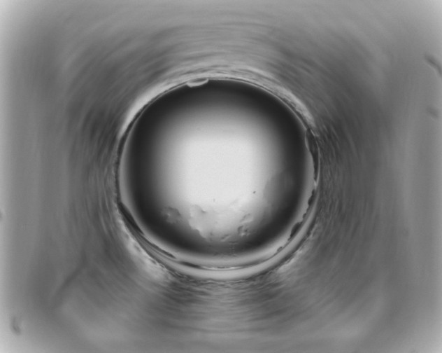 X0000096431530200801241327