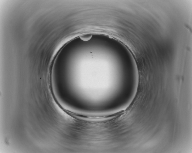 X0000096431531200801241327