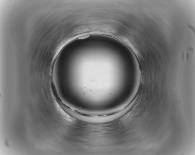 X0000096431532200801241328