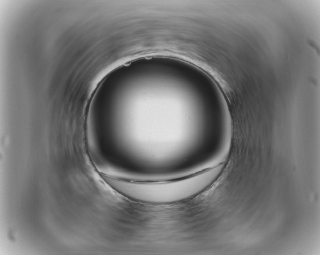 X0000096431534200801241328