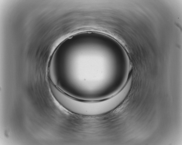 X0000096431535200801241328