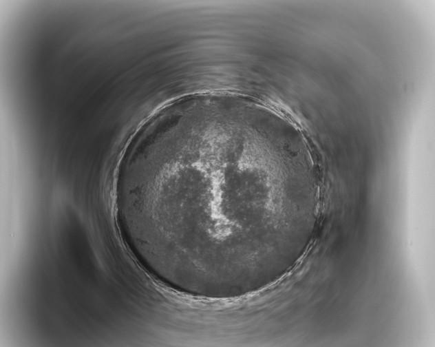 X0000096430002200801311442